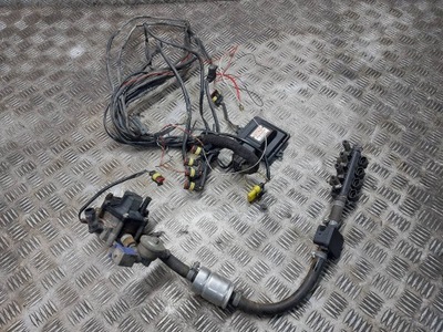 Электропроводка газовая lpg 67r-017009 stag 200 gofast r02 ps-02 ac w02-4 фото №1