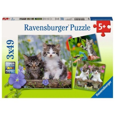 PUZZLE 3x49 EL - Kocięta RAVENSBURGER