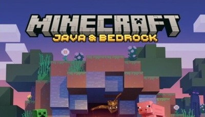 Minecraft Java & Bedrock Edition