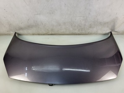 Капот кришка двигуна tec68 renault scenic ii 2003-2009r фото №1