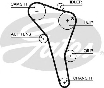 РЕМЕНЬ ГРМ GATES 5622XS AUDI A4