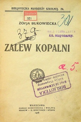 Zalew Kopalni 1908 r.