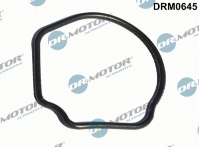 DR.MOTOR DRM0645 USZCZELKA, TERMOSTATO  