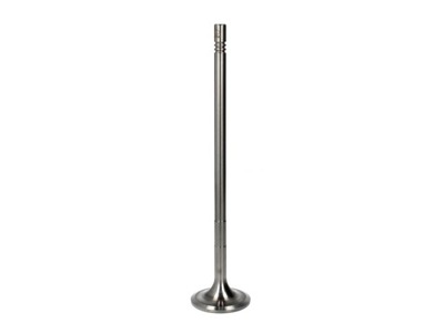 Клапан впускной paradowscy pvol090 фото №1