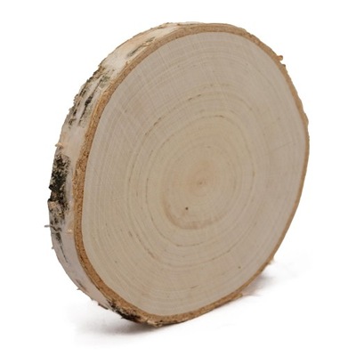 Plaster drewna o śr. 15-20 cm, gr. 2 cm, szlif
