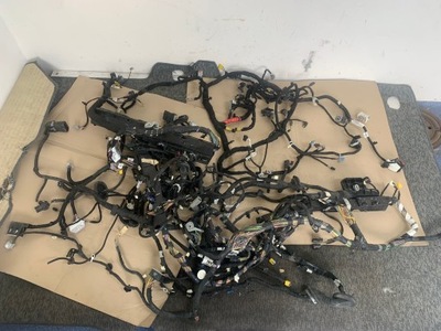 Ford mustang mach-e rwd 75.7kwh электропроводка электрическая салона кабины фото №1