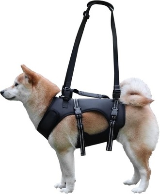 uprząż dla psa L czarna