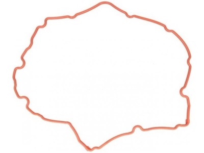 Victor reinz 71-38172-00 прокладка, крышка головки цилиндров фото №1