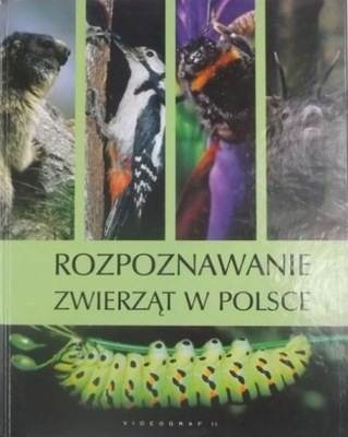 Rozpoznawanie zwierząt w Polsce