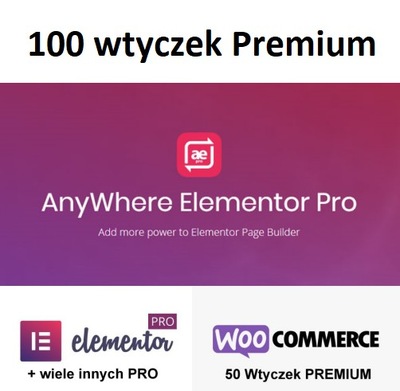 AnyWhere Elementor Pro WordPress WooCommerce