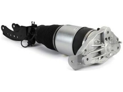 Амортизатор пневматичний arnott as-3165 фото №1