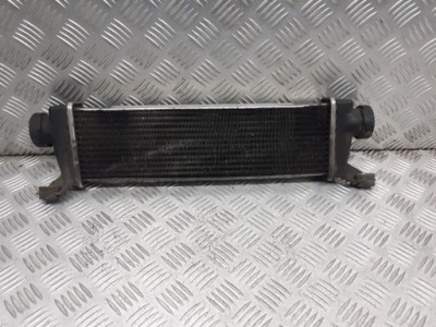 Интеркулер mercedes vaneo w414 1.7cdi a1685000000 фото №1