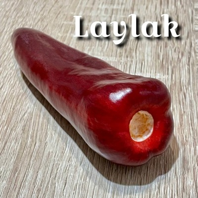 Papryka słodka Laylak