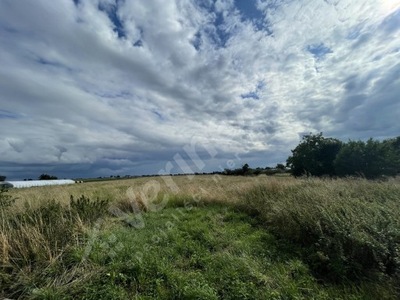 Działka, Ostrów Wielkopolski, 13883 m²