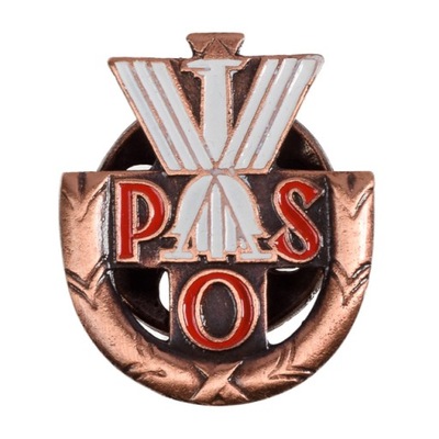 Państwowa Odznaka Sportowa POS klasa I brązowa