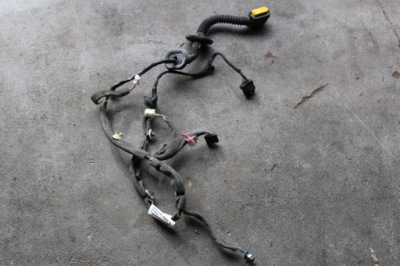 Renault grand scenic iii электропроводка дверь правый задняя europa фото №1