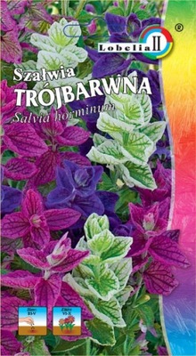 Szałwia Trójbarwna