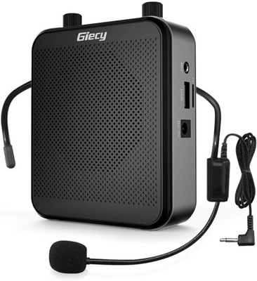głośnik Bluetooth FM Radio wzmacniacz głosu Giecy G 300 30W