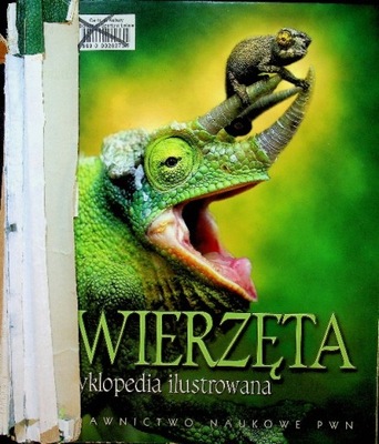 Zwierzęta Encyklopedia ilustrowana