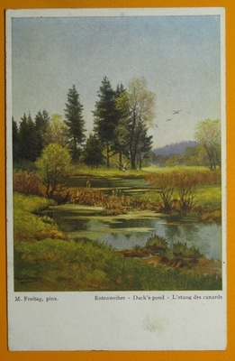 273660, M. Freitag: staw