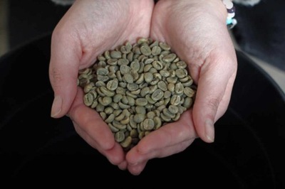 Gwatemala La Laguna - Zielone ziarno - 1 kg Niepalona kawa
