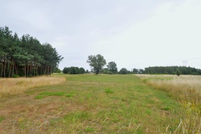 Działka, Warszawice, 12200 m²