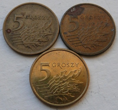 POLSKA - 3 x 5 groszy gr 1993 2014 MW 2022 r. niskie nakłady - z obiegu (4)