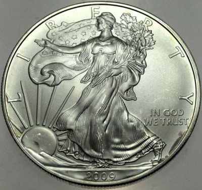 USA American Silver Eagle Dollar dolar 2009 1 oz uncja SREBRO