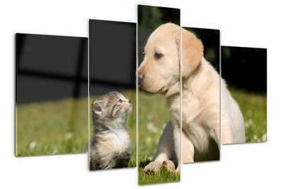 Foto Obraz szklany tryptyk Pies i kot na łące