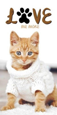 Ręcznik bawełniany 70x140 Animals Kot Zwierzaki