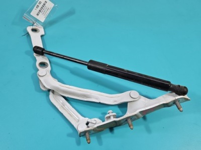 Петля крышки задний  задний привод tesla model 3 2017- фото №1