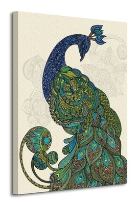 Valentina Ramos farebný Páv Maľovanie 60x80 cm