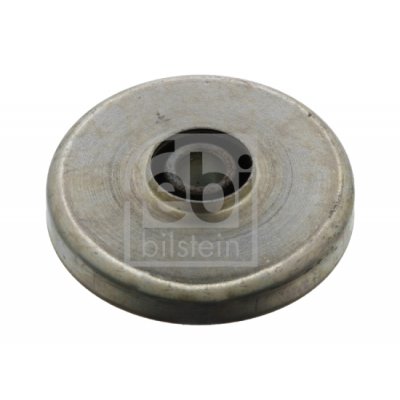 FEBI BILSTEIN PAGALVĖ DIFERERENCIALO 06667 