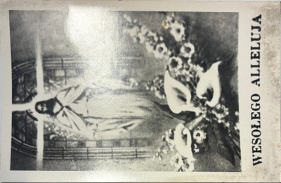 Wesołego Alleluja do Gołcza