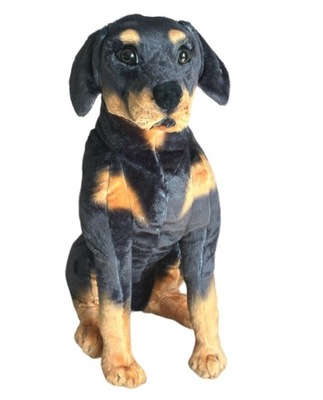 Maskotka Pluszowy Piesek Rottweiler Duży Pies