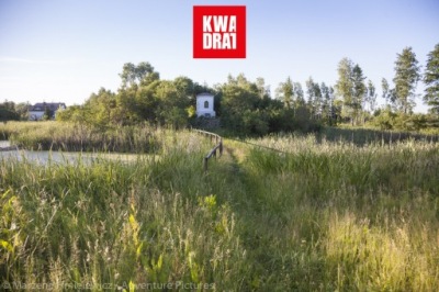 Działka, Zawiszyn, Jadów, Wołomiński, 8300 m²