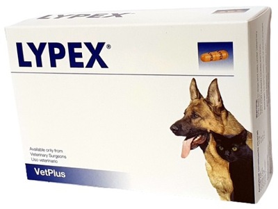 LYPEX psy koty - zapalenie trzustki - 60 kapsułek