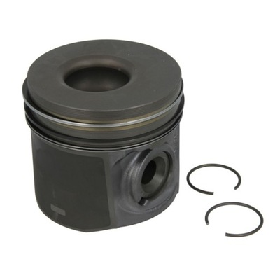 Поршень nural фото №1