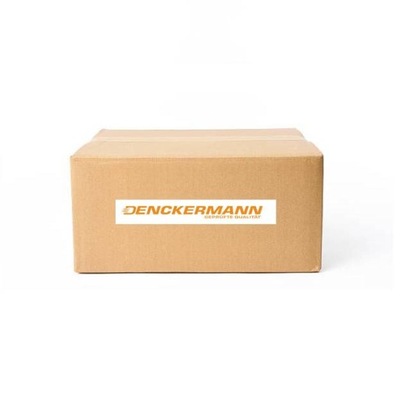 2X DISC BRAKE REAR B130250 DENCKERMANN  