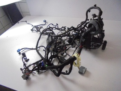 Электропроводка отсек двигателя jeep compass ii 1.6 d 2018 rok фото №1