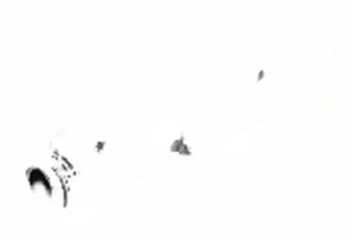 Шланг труба системы охлаждение 109 625 topran seat фото №1