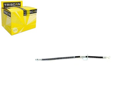 Triscan 8150 43100 шланг тормозной гибкий фото №1