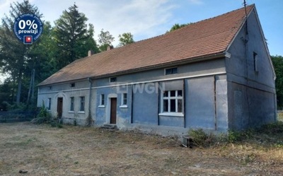 Dom, Nowe Miasteczko, 270 m²