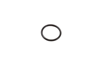 O-RING Case IH
