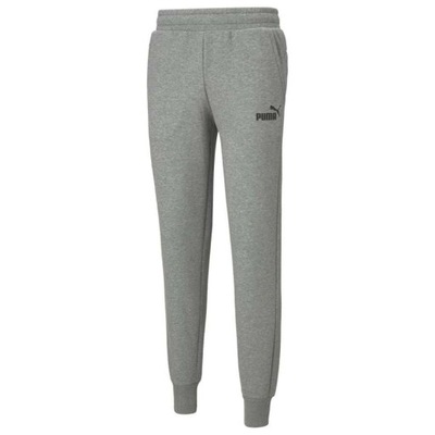 Spodnie męskie PUMA ESS LOGO PANTS FL 586714-03