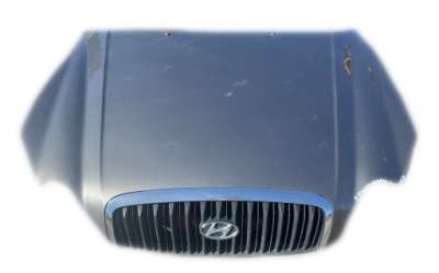 Hyundai sonata iv lift капот крышка двигателя qd фото №1