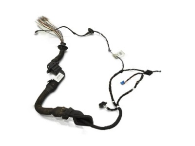 Жгут электропроводка дверь правый задняя mercedes r w251 a2514402409 фото №1