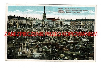 Stryj - Rynek podczas Targu - 1917 r.