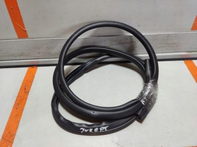 Nissan juke ii f16 прокладка двері правий задня фото №1