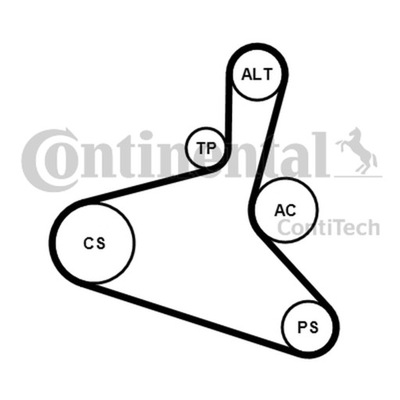 KOMPLEKTAS DIRŽELIO WIELOROWK. VW 1,6/1,8T AUDI/SEAT/SKODA 6DPK1195K1 